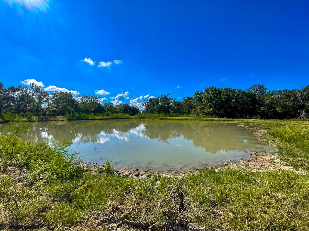 6346 Bethel Cemetery Road Rd, North Zulch, Texas image 31