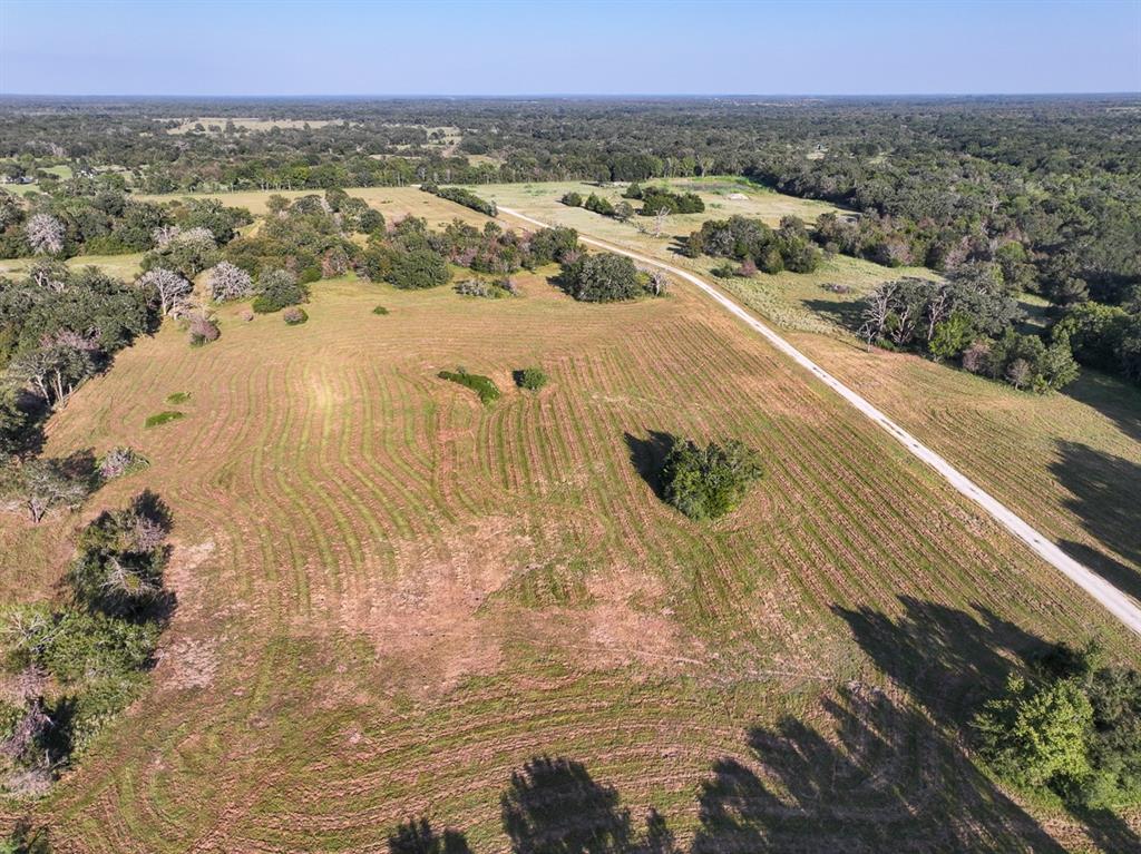 6346 Bethel Cemetery Road Rd, North Zulch, Texas image 4