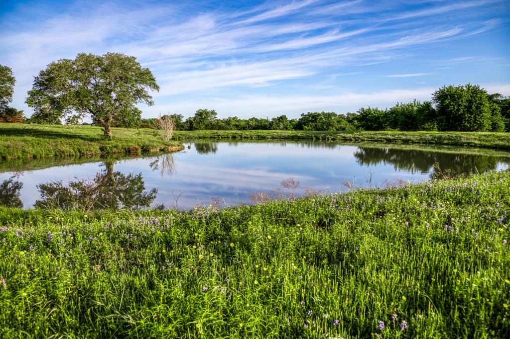 7101 Boehnemann Road, Brenham, Texas image 25