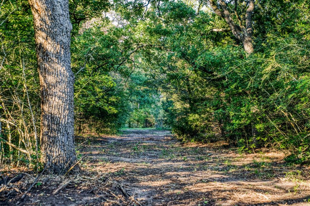 7101 Boehnemann Road, Brenham, Texas image 31