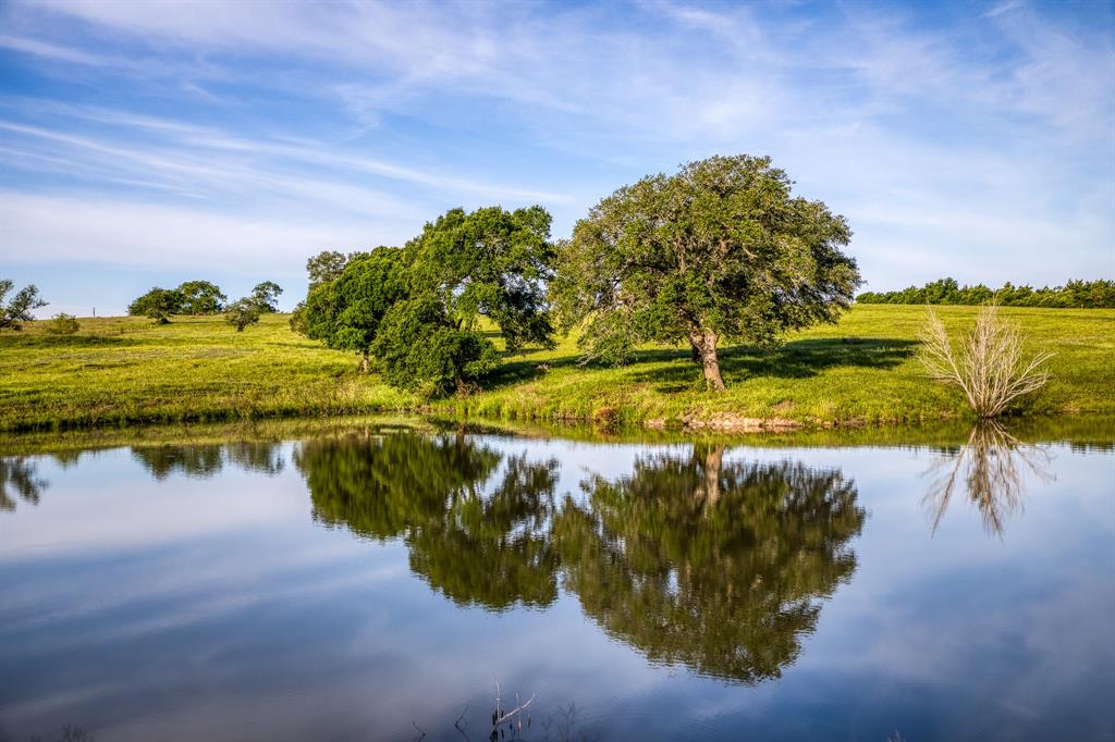 7101 Boehnemann Road, Brenham, Texas image 3