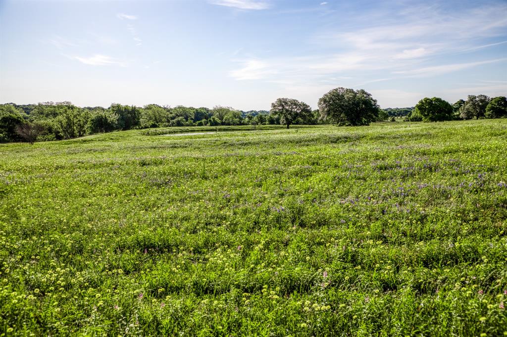 7101 Boehnemann Road, Brenham, Texas image 47