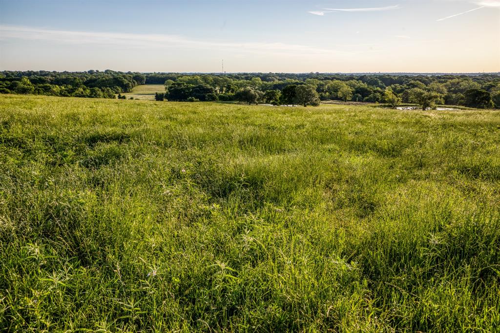 7101 Boehnemann Road, Brenham, Texas image 29