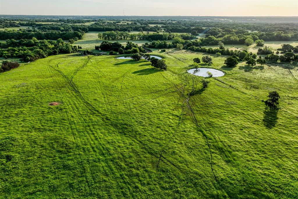 7101 Boehnemann Road, Brenham, Texas image 49