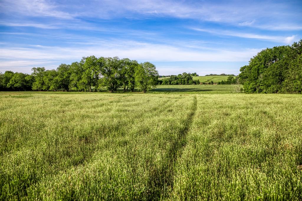 7101 Boehnemann Road, Brenham, Texas image 45