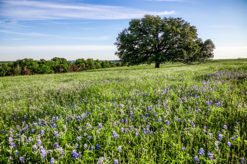 7101 Boehnemann Road, Brenham, Texas image 34