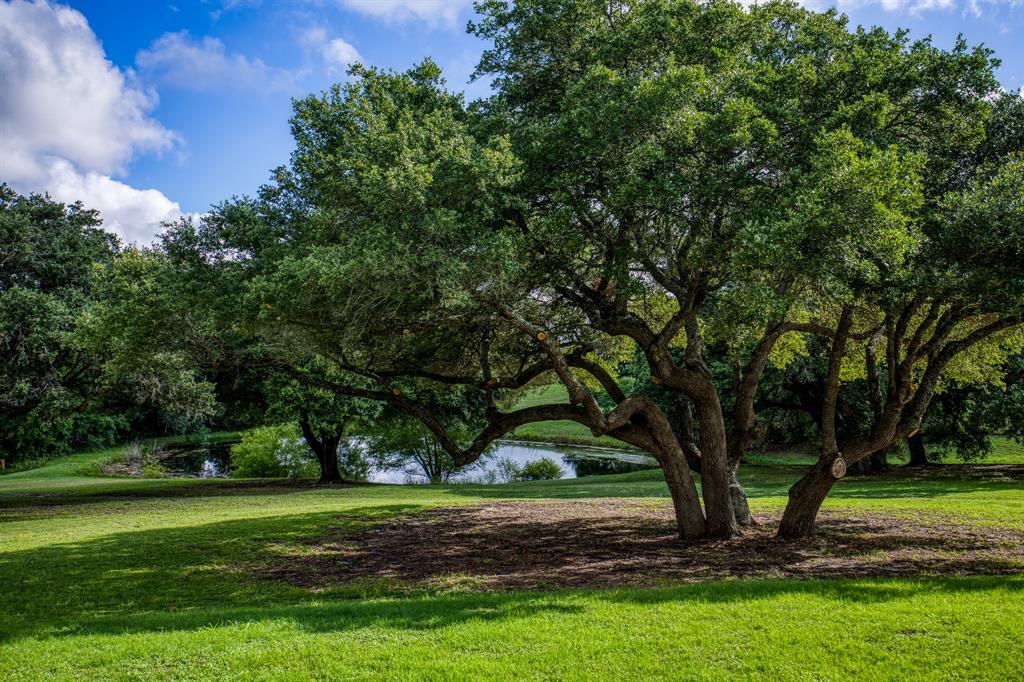 7101 Boehnemann Road, Brenham, Texas image 6