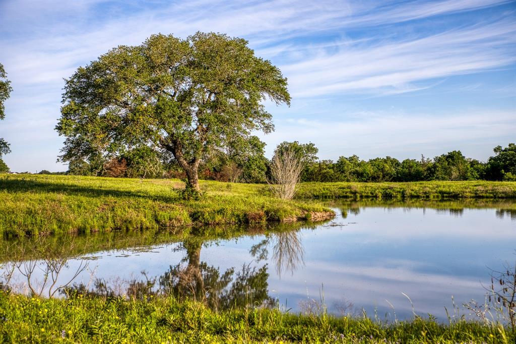 7101 Boehnemann Road, Brenham, Texas image 41