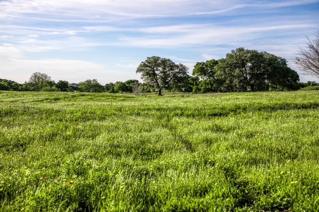 7101 Boehnemann Road, Brenham, Texas image 44