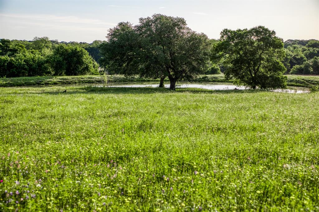 7101 Boehnemann Road, Brenham, Texas image 39