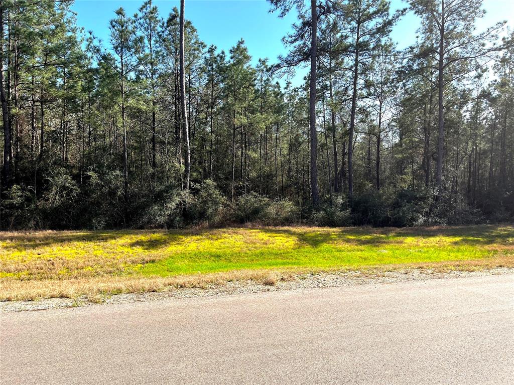 228 Exploration Road, Willis, Texas image 3