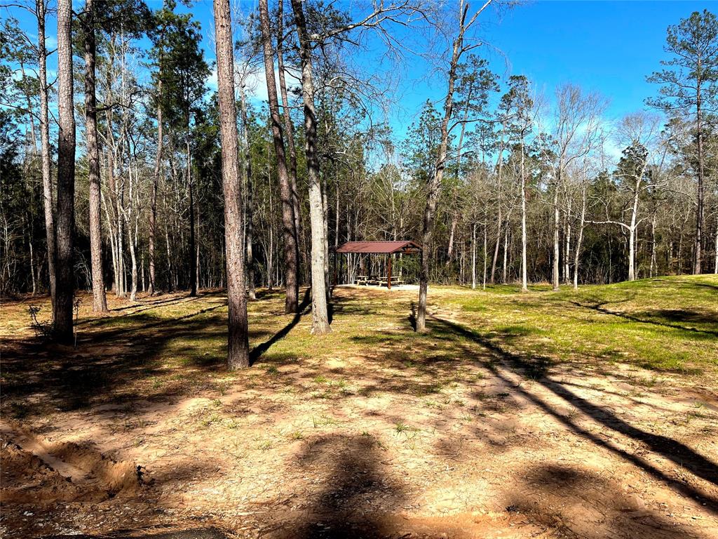 228 Exploration Road, Willis, Texas image 11