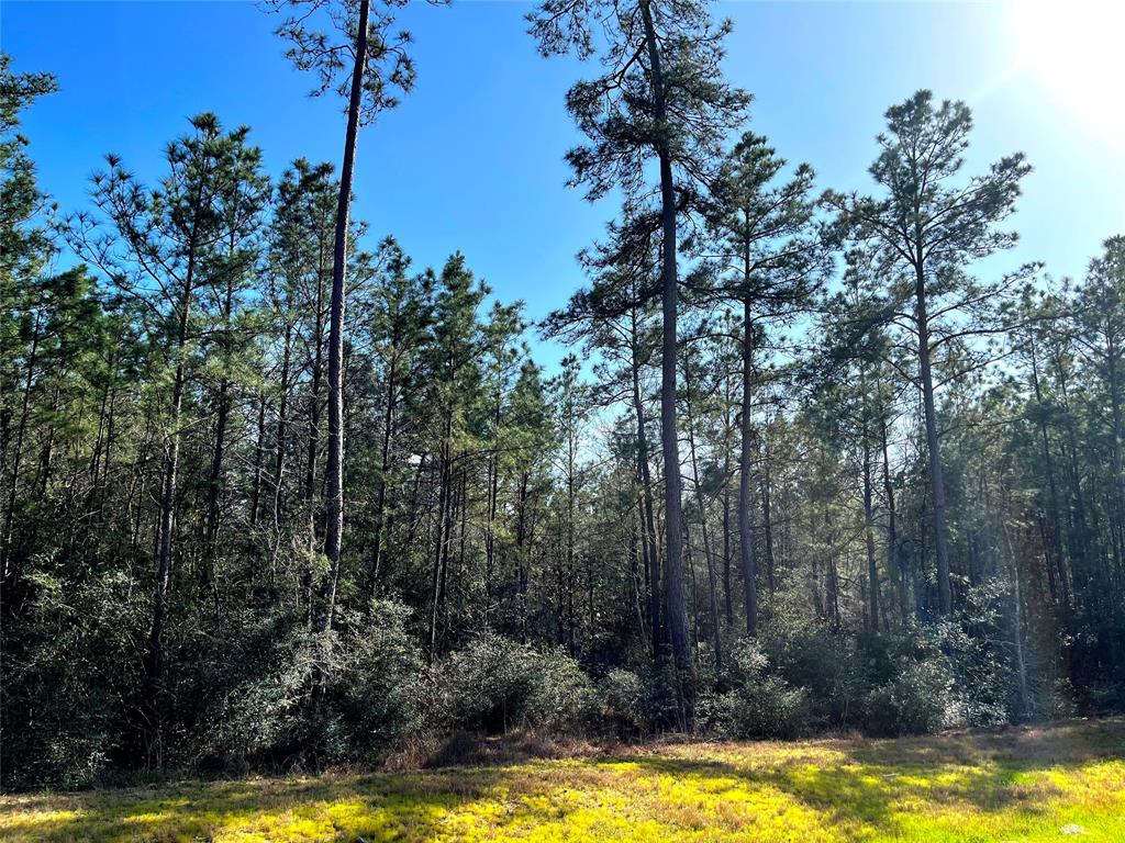 228 Exploration Road, Willis, Texas image 8