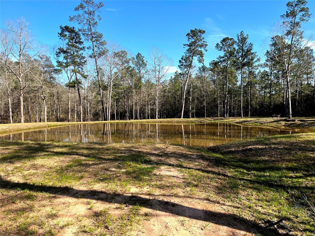 228 Exploration Road, Willis, Texas image 14