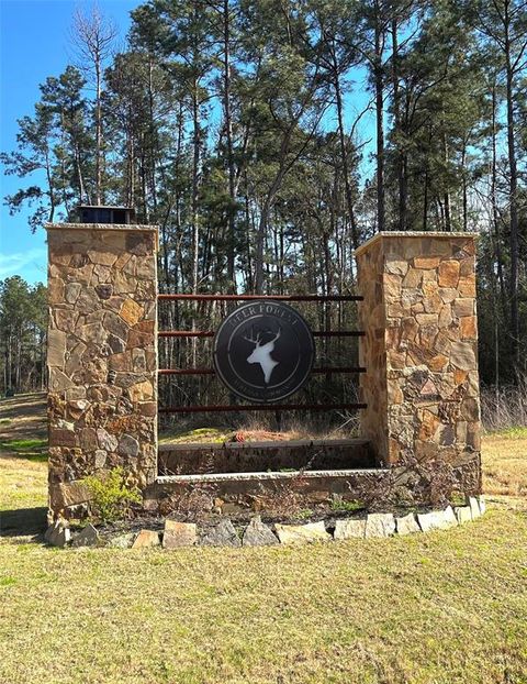 Photo of 228 Exploration Road, Willis, TX 77378 (MLS # 89843745)