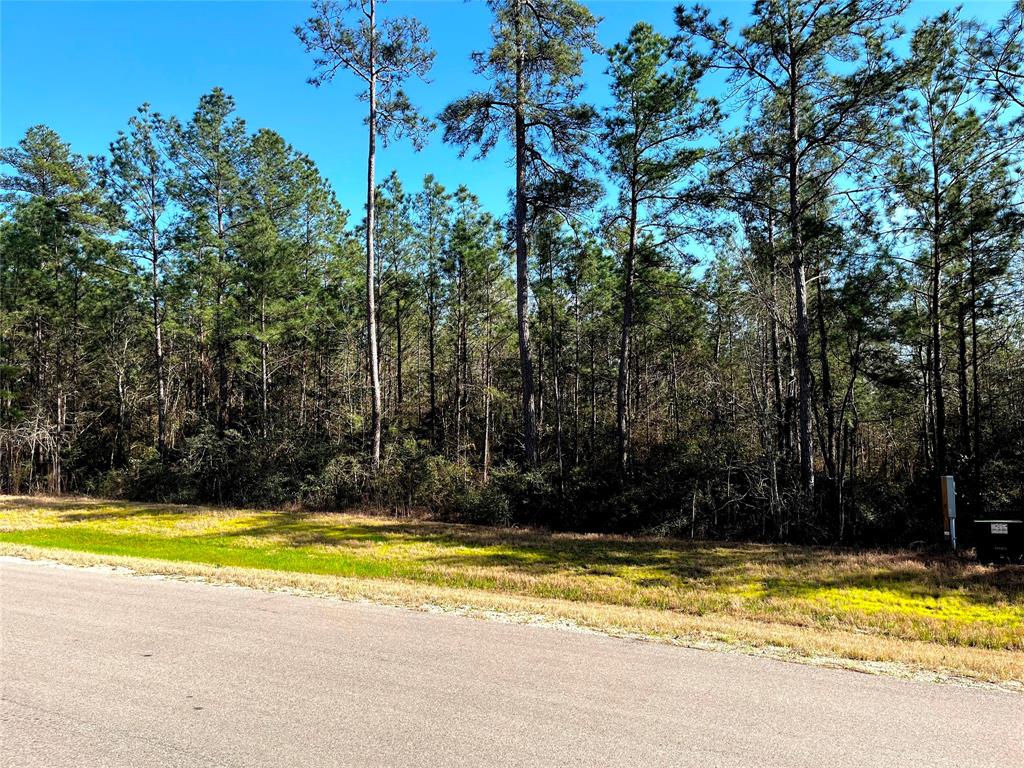 228 Exploration Road, Willis, Texas image 4