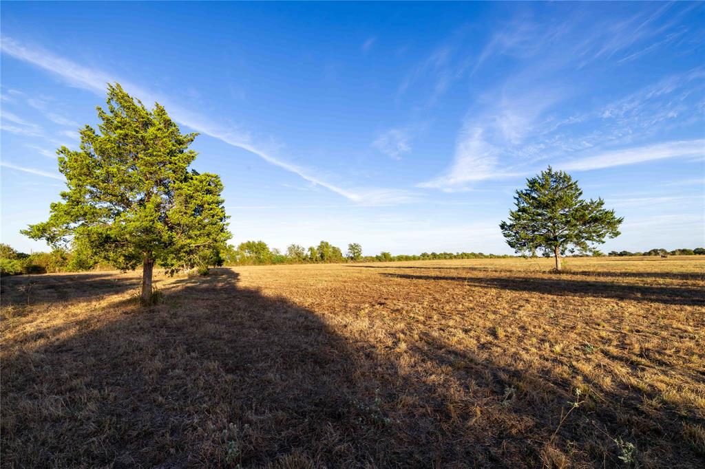 1061 E Fuchs Road, Carmine, Texas image 3