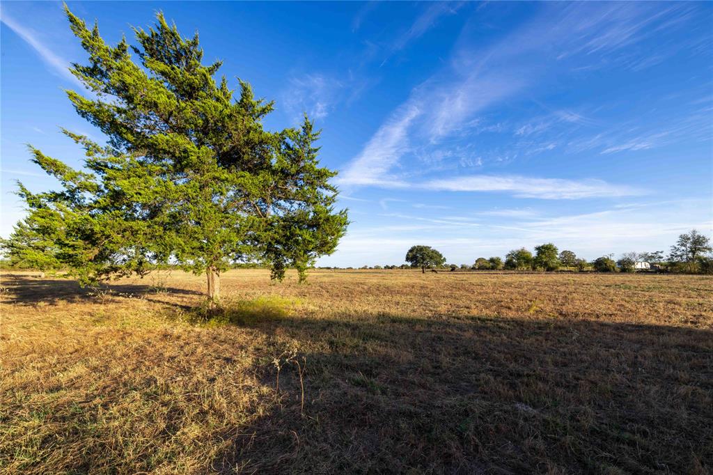 1061 E Fuchs Road, Carmine, Texas image 4