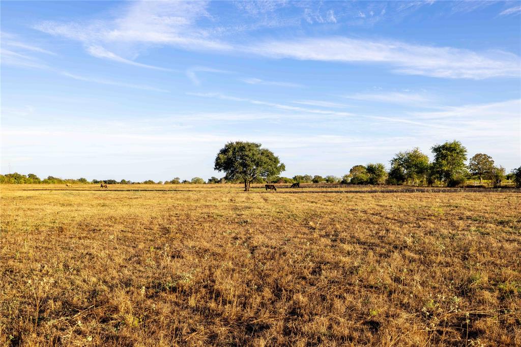 1061 E Fuchs Road, Carmine, Texas image 6