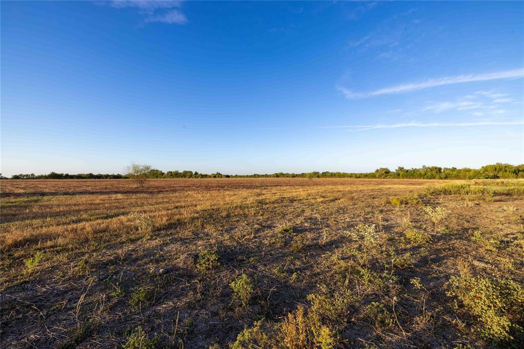 1061 E Fuchs Road, Carmine, Texas image 7