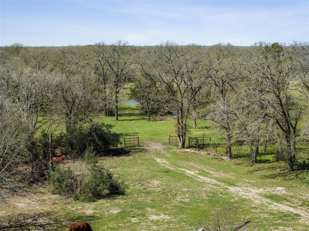 128 Duke Road, Bedias, Texas image 49