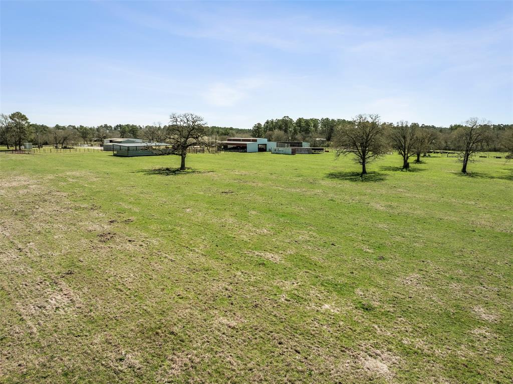 128 Duke Road, Bedias, Texas image 44