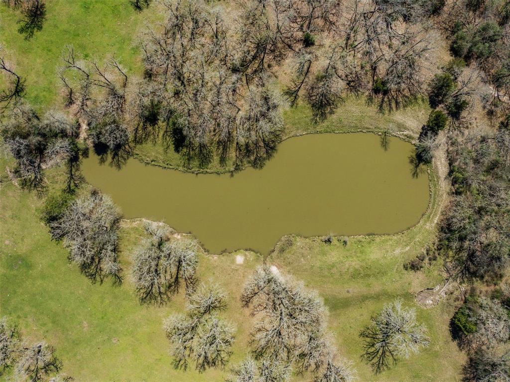 128 Duke Road, Bedias, Texas image 45