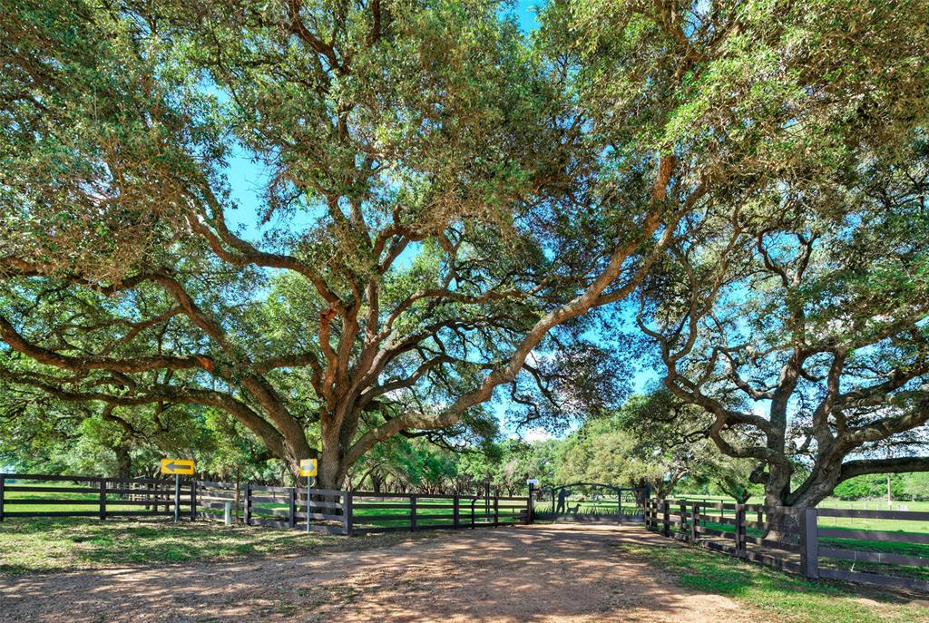 0000 Frantz Road, Cat Spring, Texas image 27