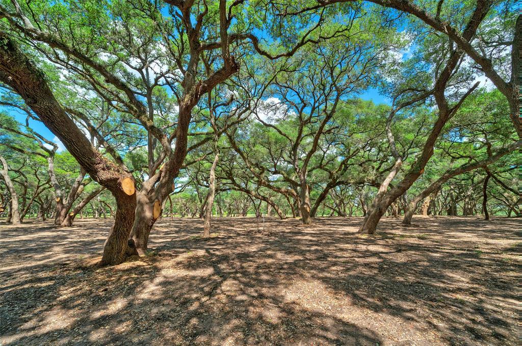 0000 Frantz Road, Cat Spring, Texas image 17