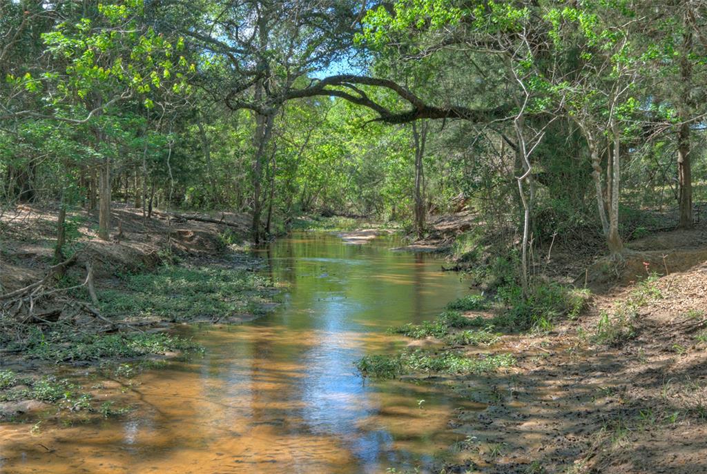 0000 Frantz Road, Cat Spring, Texas image 4