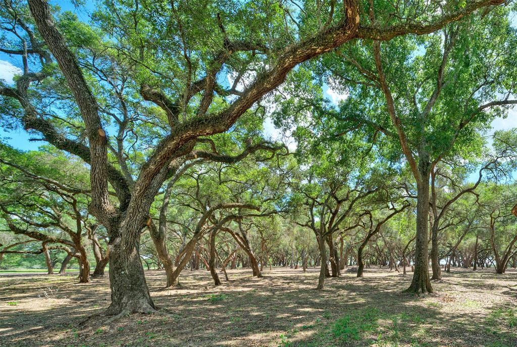 0000 Frantz Road, Cat Spring, Texas image 3