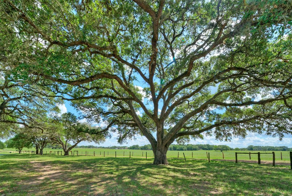 0000 Frantz Road, Cat Spring, Texas image 19