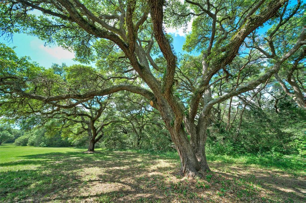 0000 Frantz Road, Cat Spring, Texas image 25