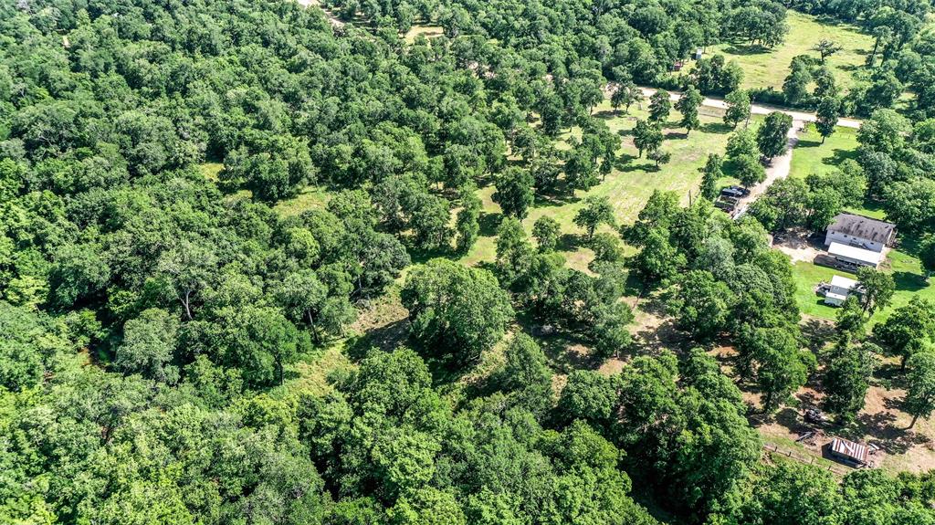 15610 Tierra Grande Drive, Needville, Texas image 16