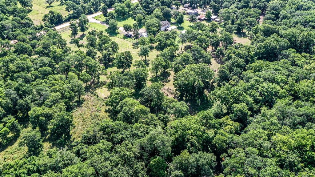 15610 Tierra Grande Drive, Needville, Texas image 13