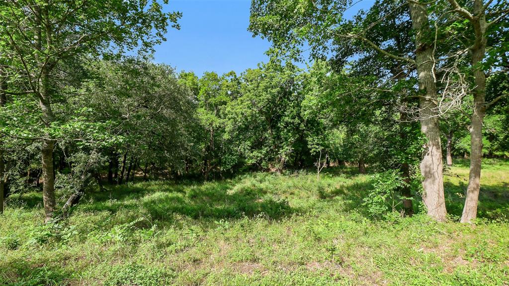 15610 Tierra Grande Drive, Needville, Texas image 6