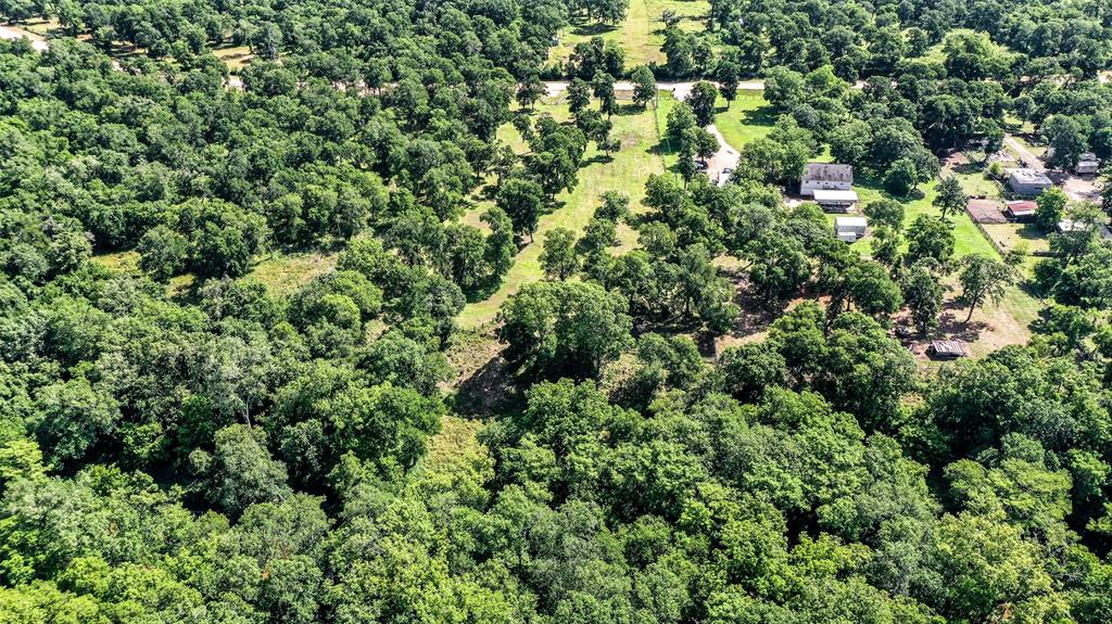 15610 Tierra Grande Drive, Needville, Texas image 15