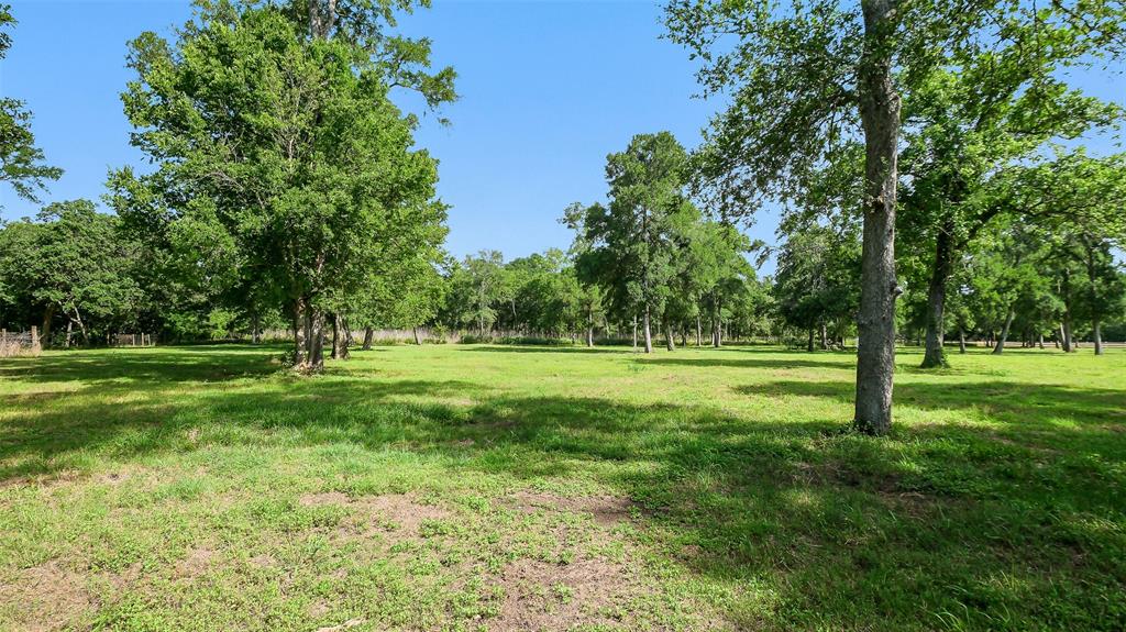 15610 Tierra Grande Drive, Needville, Texas image 8