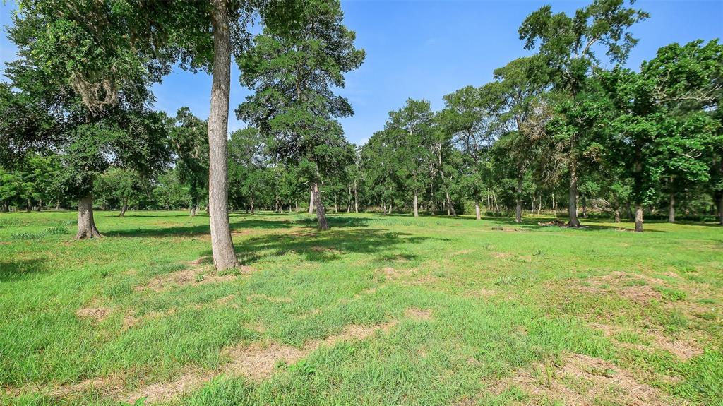 15610 Tierra Grande Drive, Needville, Texas image 9