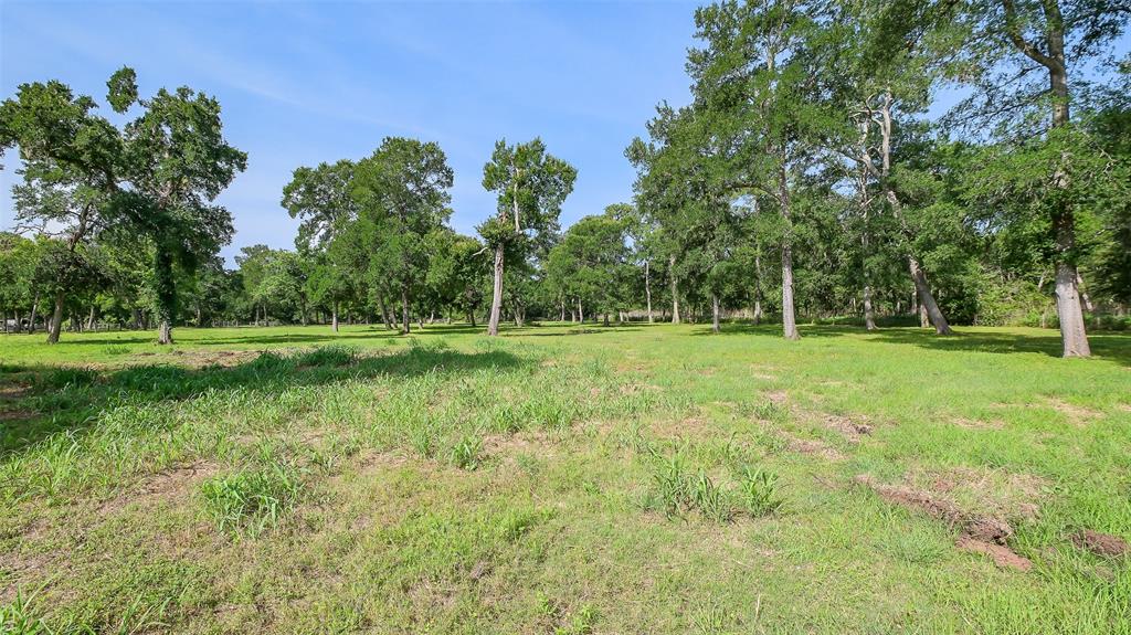 15610 Tierra Grande Drive, Needville, Texas image 4