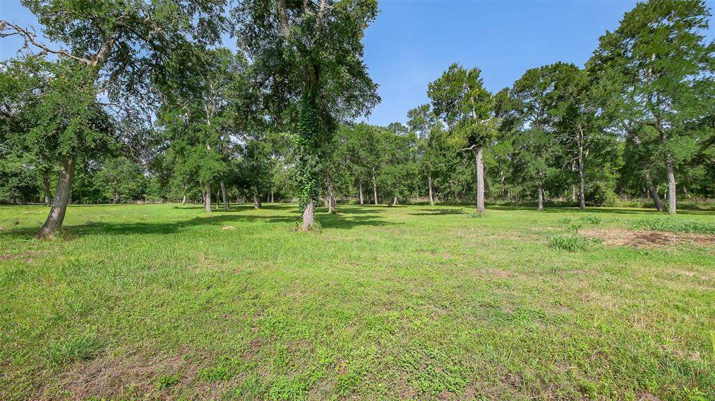 15610 Tierra Grande Drive, Needville, Texas image 5