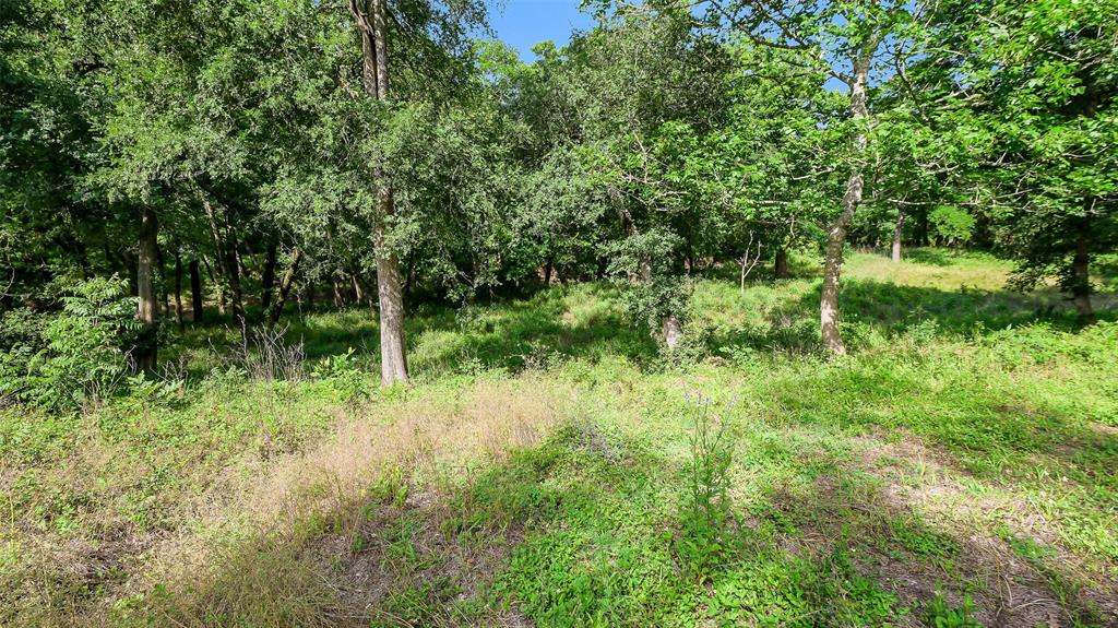 15610 Tierra Grande Drive, Needville, Texas image 7