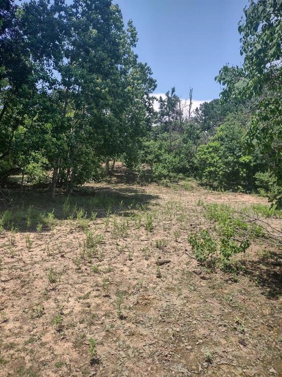 19830 Turtle Dove Lane, Magnolia, Texas image 11