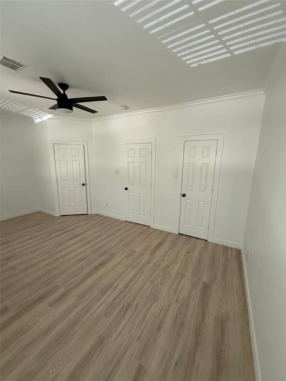 159 Anise tree pl