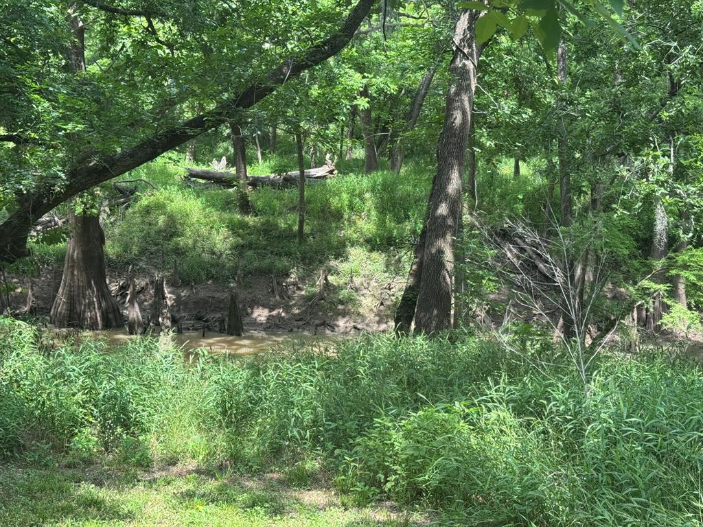 12215 Fm 442 Road, Boling, Texas image 21