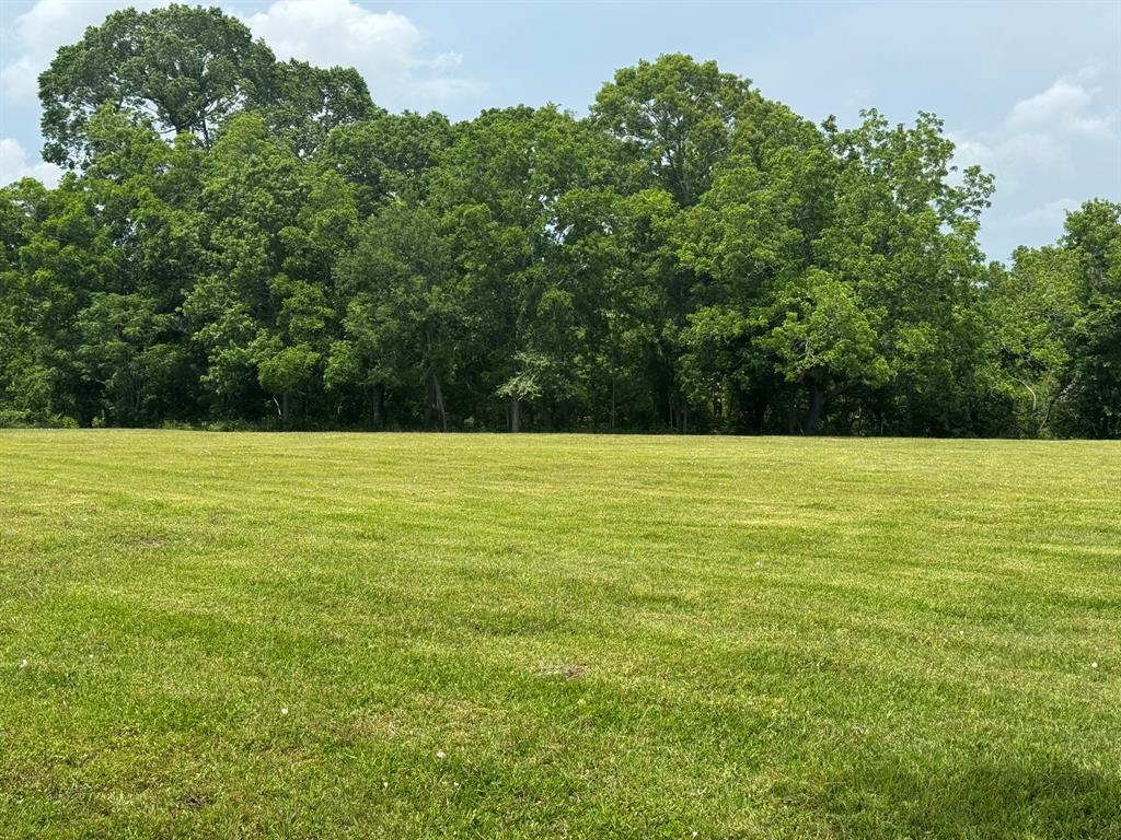 12215 Fm 442 Road, Boling, Texas image 5