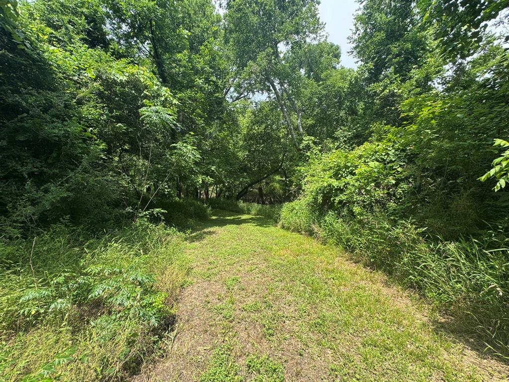 12215 Fm 442 Road, Boling, Texas image 18