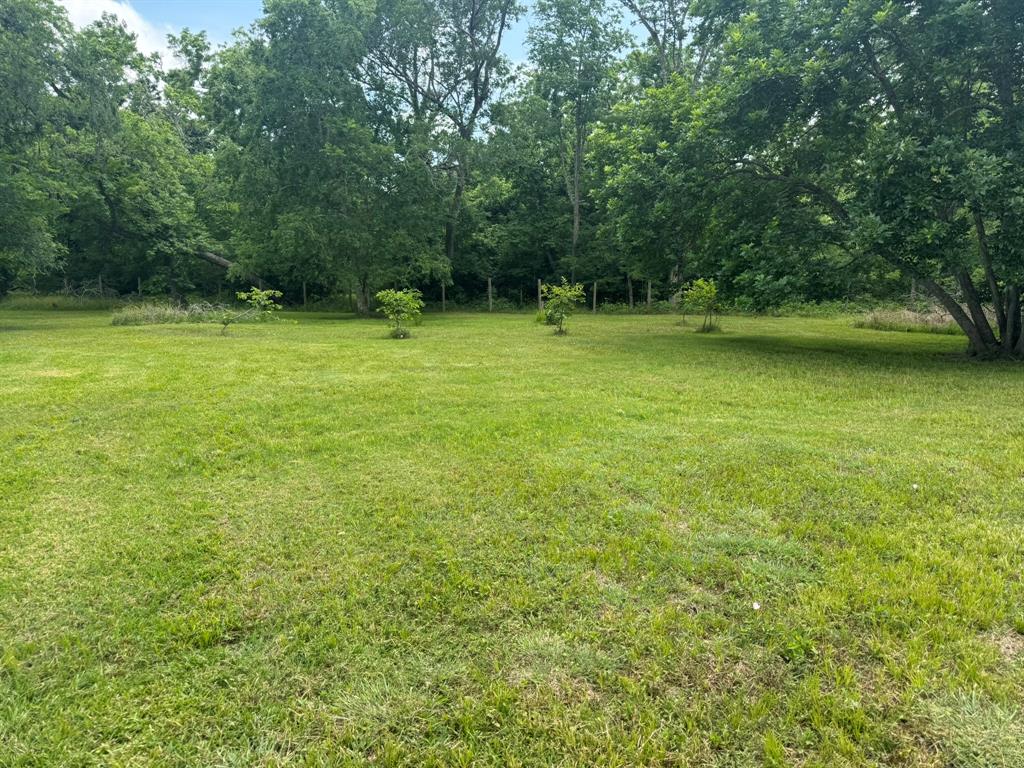 12215 Fm 442 Road, Boling, Texas image 11