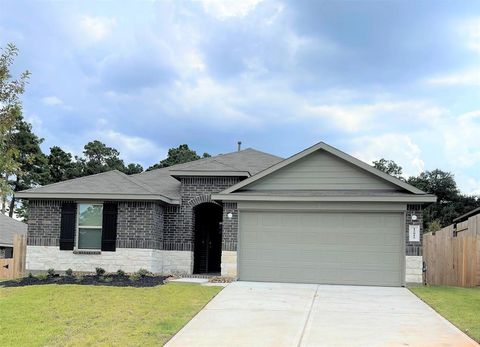 12015 Black Sage Drive Conroe TX 77304