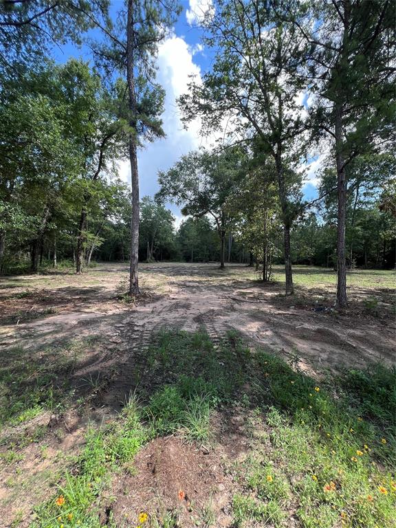 TBD Lot 2 Deerwood Drive, Plantersville, Texas image 2